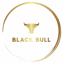 BLACK BULL HN logo